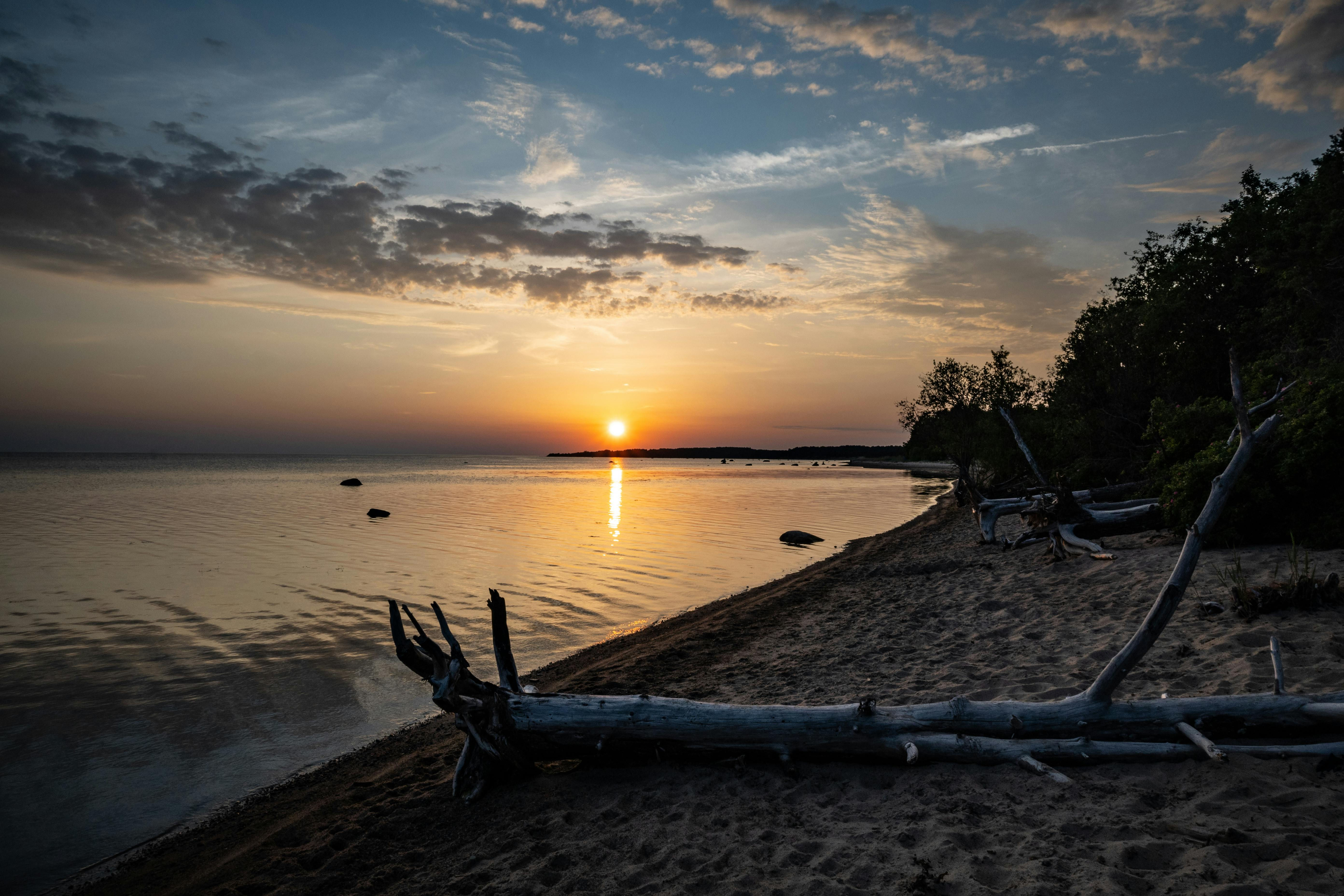 Traverse Bay Bold Coffee